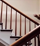 Filename=036.jpg
Filesize=156KiB
Dimensions=1920x1080
Date added=Sep 23, 2024 036.jpg