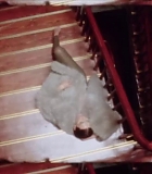 Filename=058.jpg
Filesize=119KiB
Dimensions=1920x1080
Date added=Sep 23, 2024 058.jpg