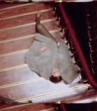 Filename=060.jpg
Filesize=125KiB
Dimensions=1920x1080
Date added=Sep 23, 2024 060.jpg